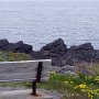 <p align=left>Woody Point